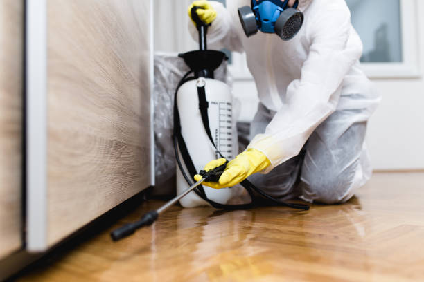 Best Termite Control Services  in New Carrollton, MD