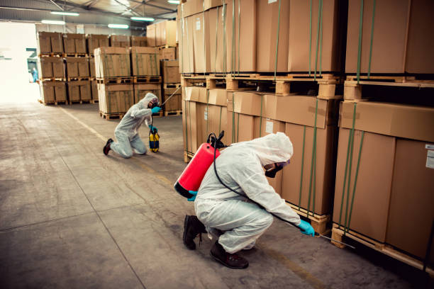 Best Flea Control Services  in New Carrollton, MD