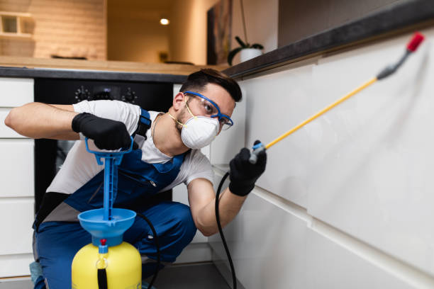 Best Termite Control Services  in New Carrollton, MD