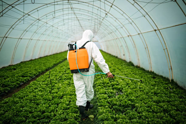 Best Pest Inspection Near Me  in New Carrollton, MD
